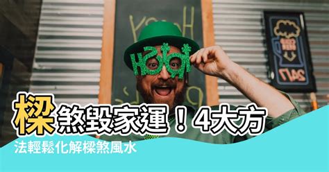 化解樑煞|【化樑煞】快學！4招風水化樑煞，居家樑柱不再是噩夢 – 香港新。